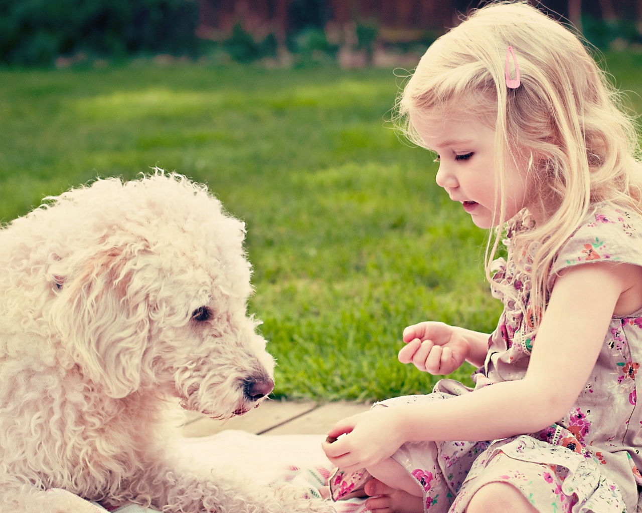 Девочка играет с собакой