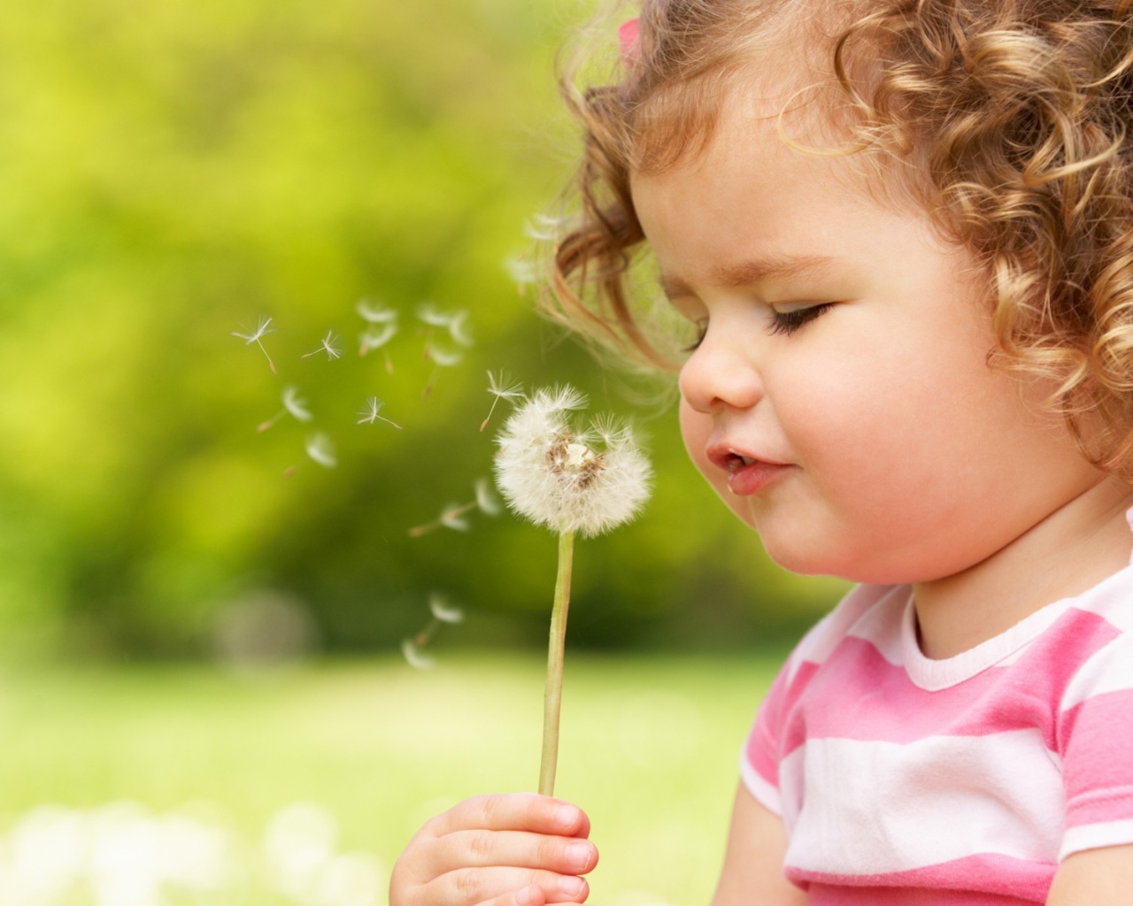 Ребенок дует на одуванчик