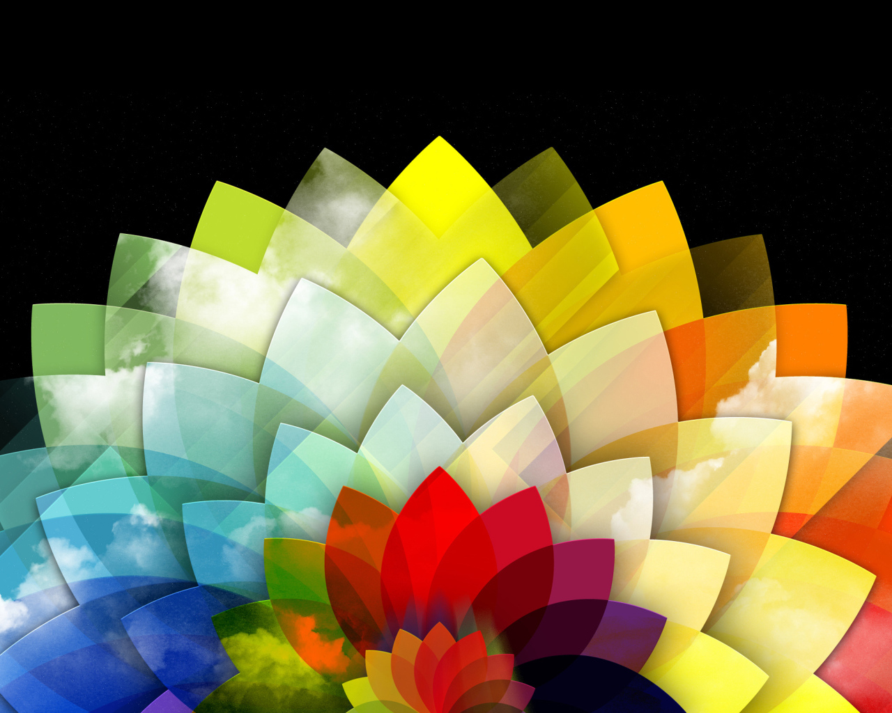 Абстракция из разноцветных лепестков