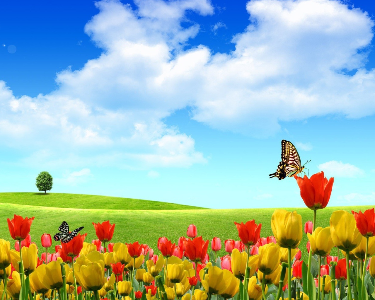 Абстрактные бабочки на тюльпанах