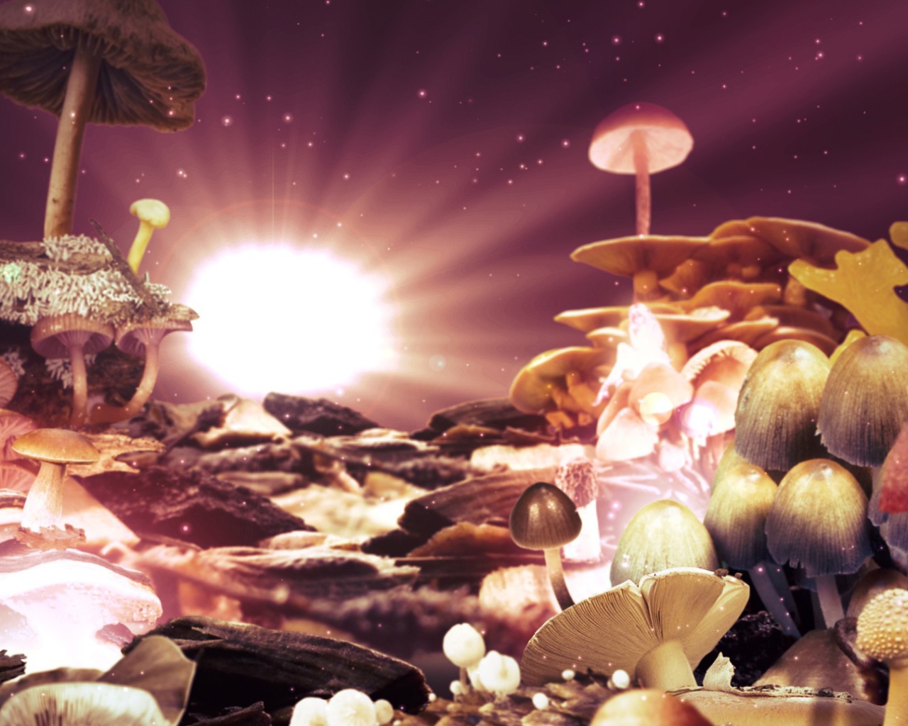 Фантазия из грибов