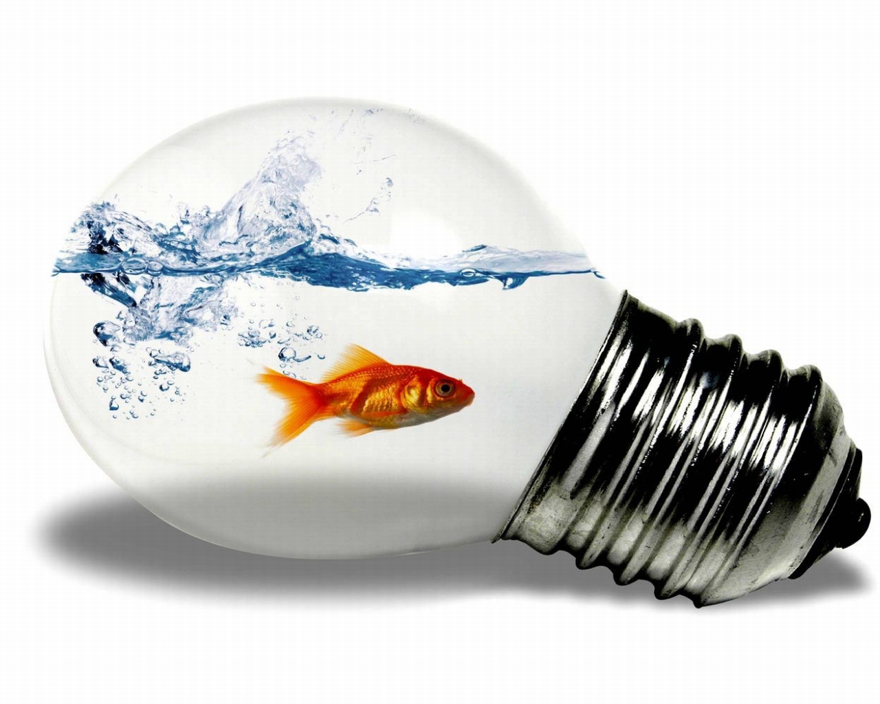 Рыбка в лампочке