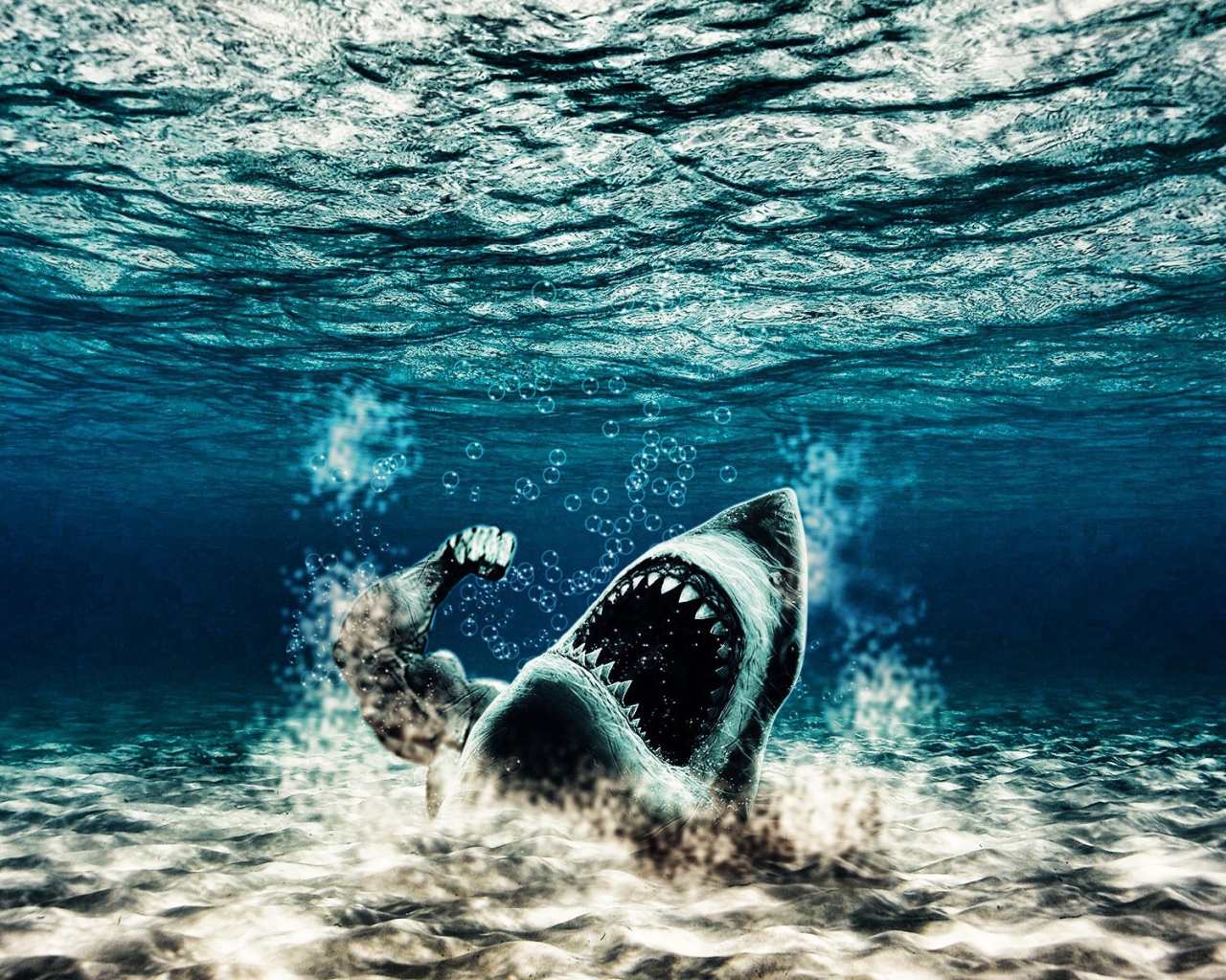 Акула с рукой человека