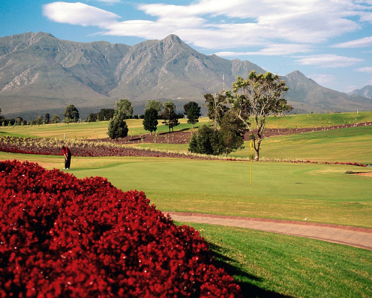 Поле для игры в Гольф