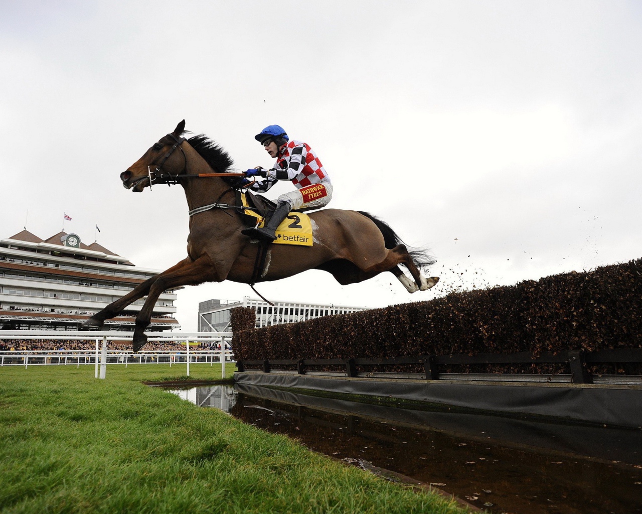 Лошадиные скачки