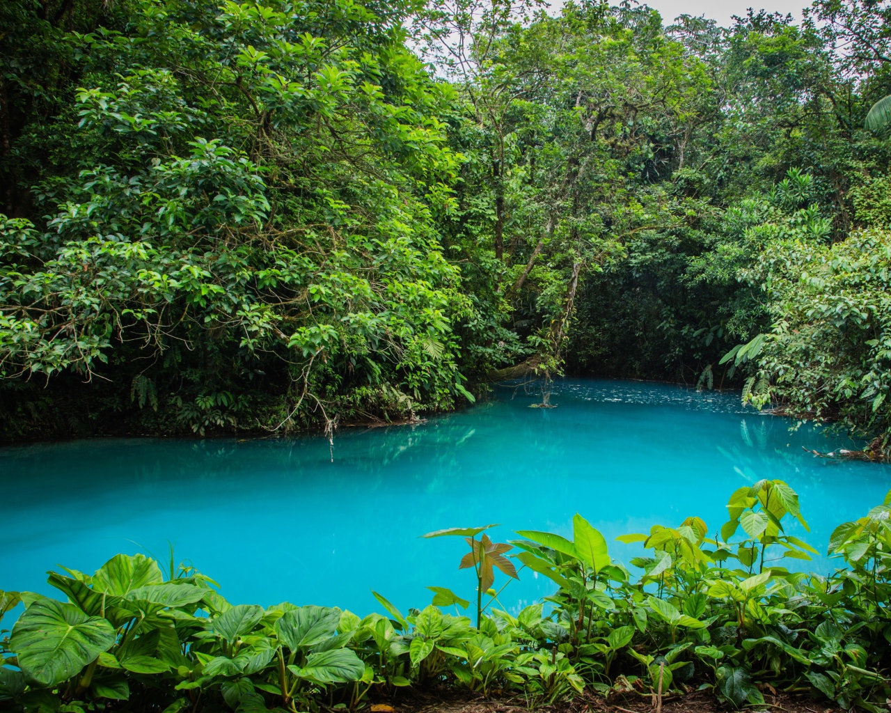 Национальный парк в Коста Рика