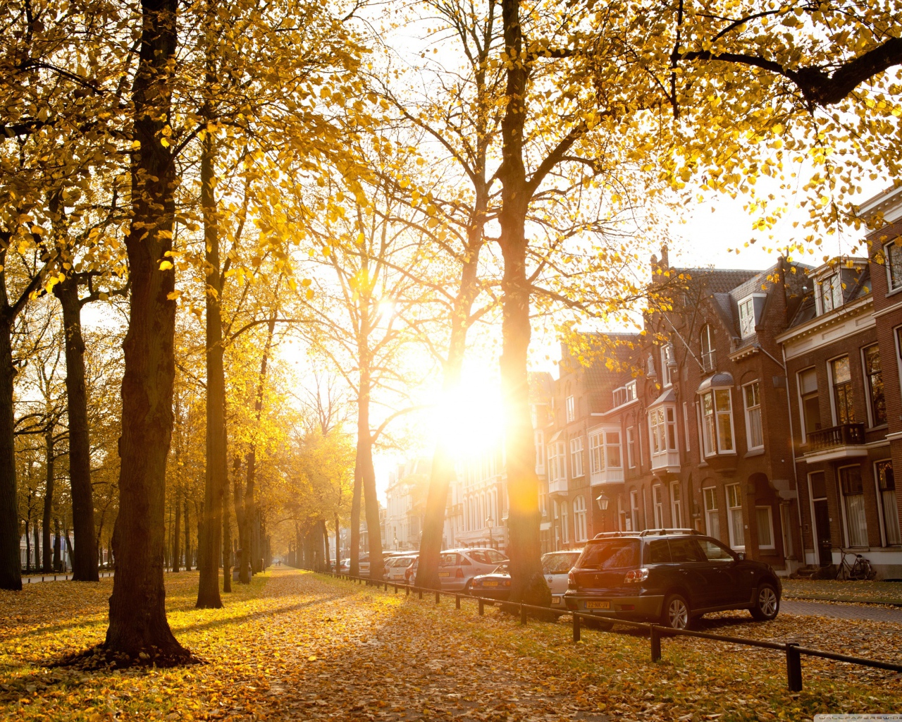 Осенний день в Утрехте