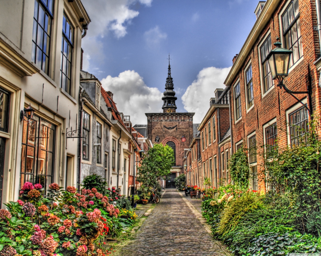 Улица в Голландии