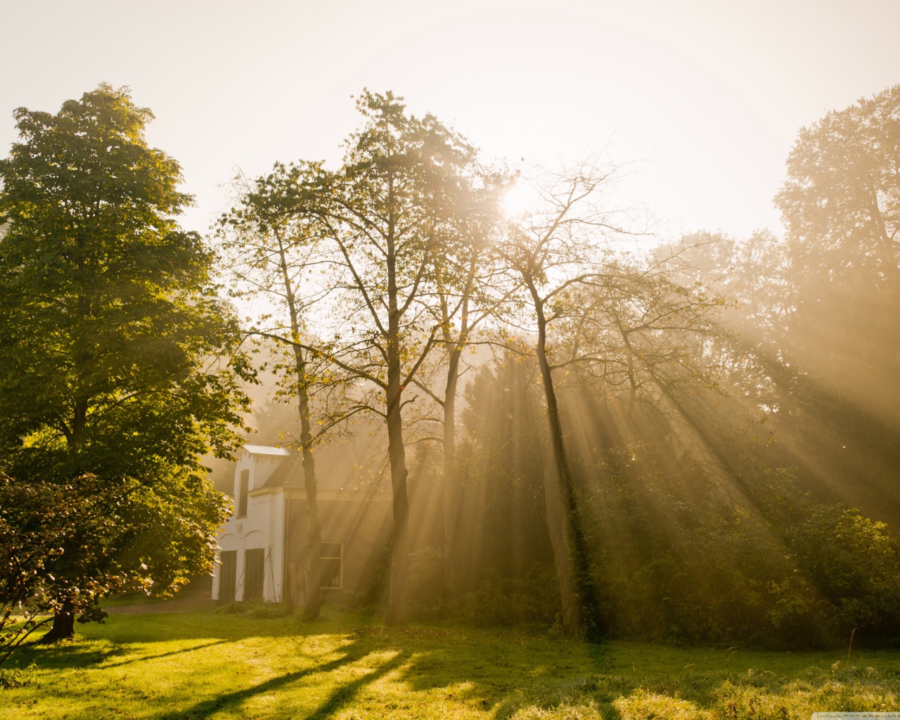 Солнце над Амстердамом