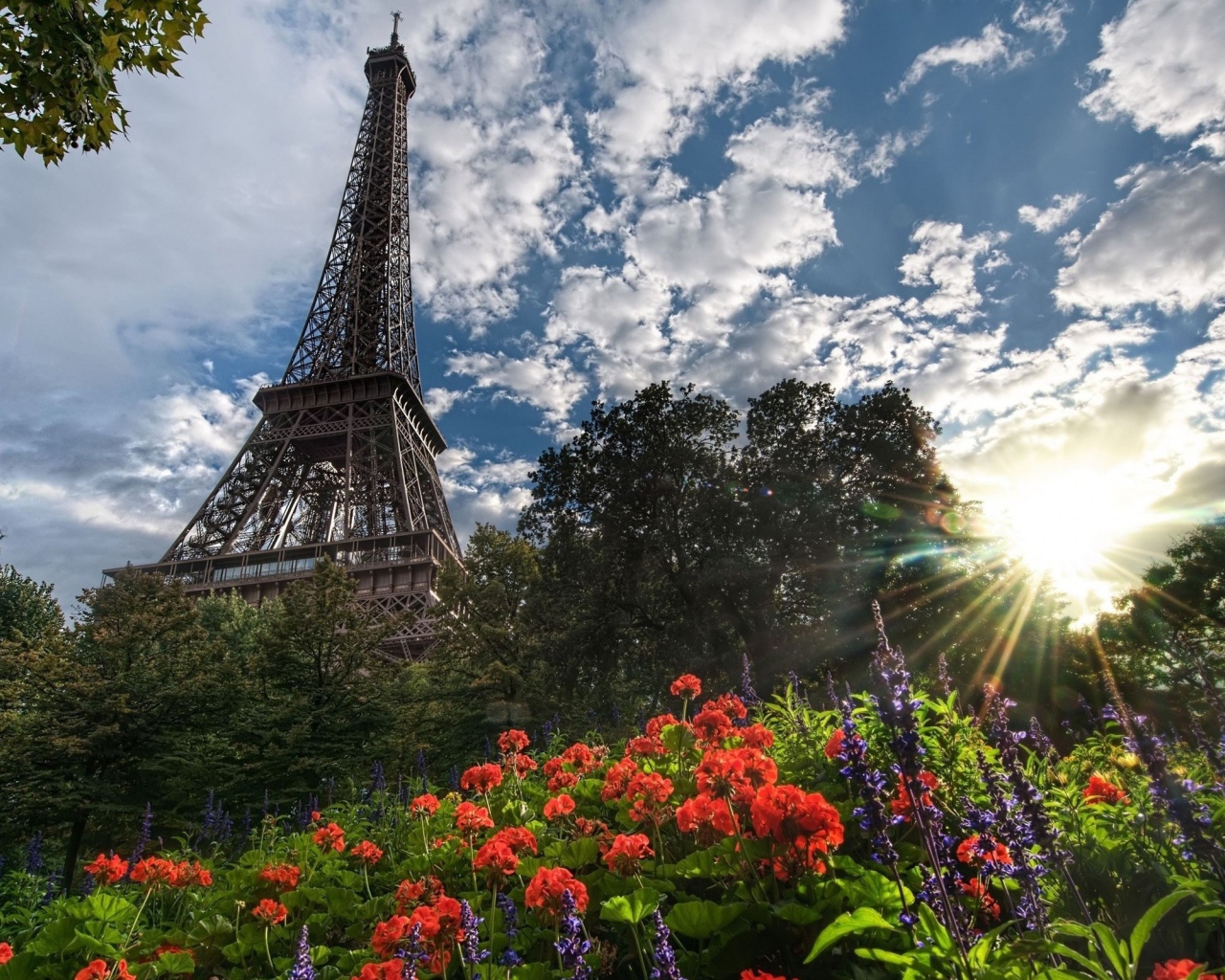 Башня и цветы в Париже