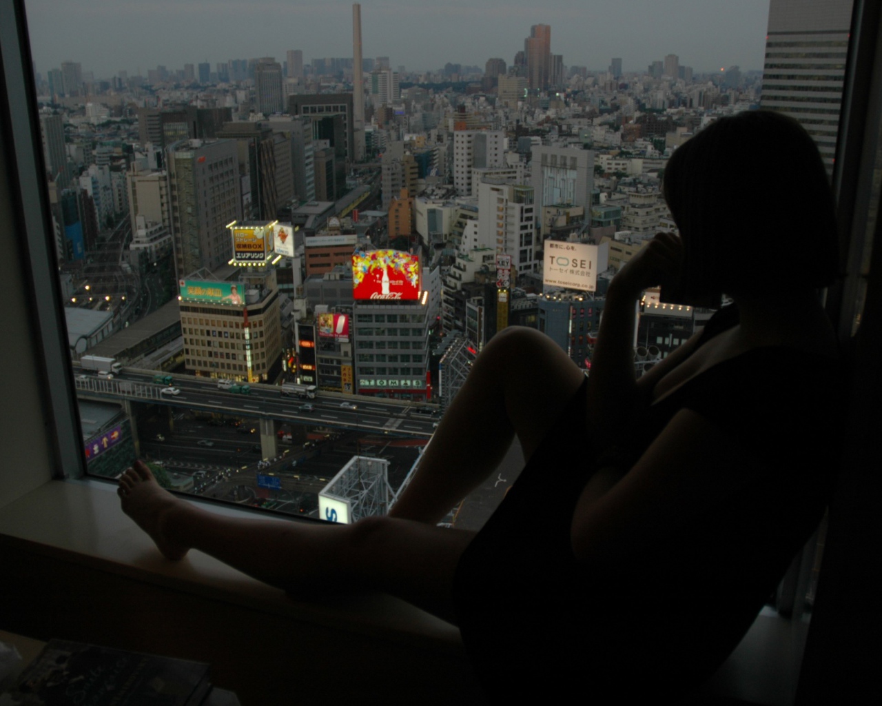 Токио из окна