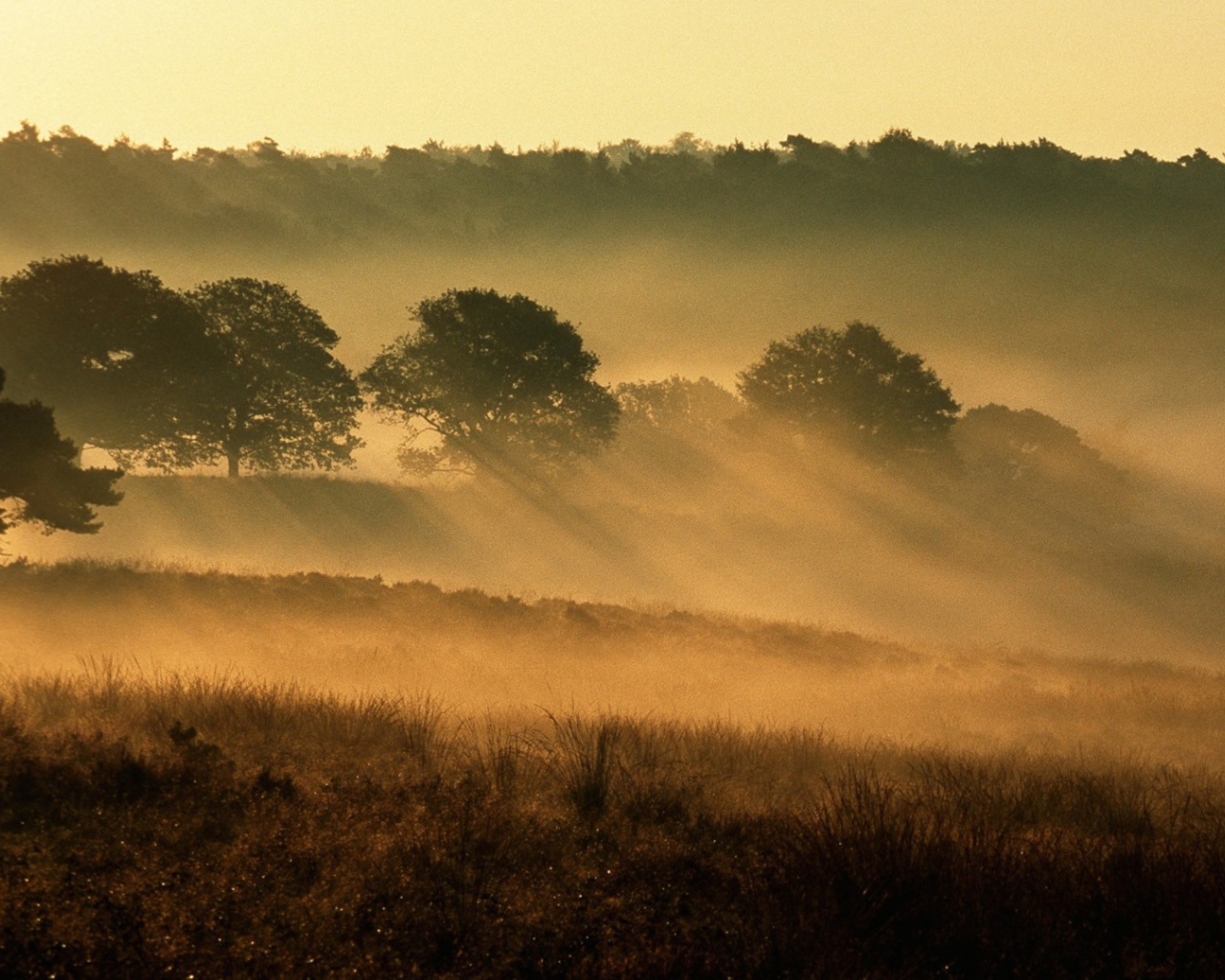 Национальный парк Нидерланды