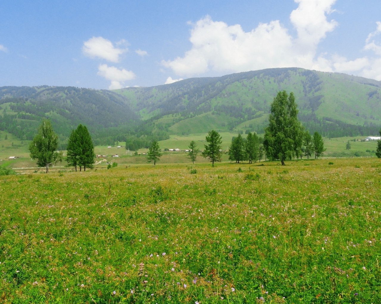 Российский пейзаж с холмами