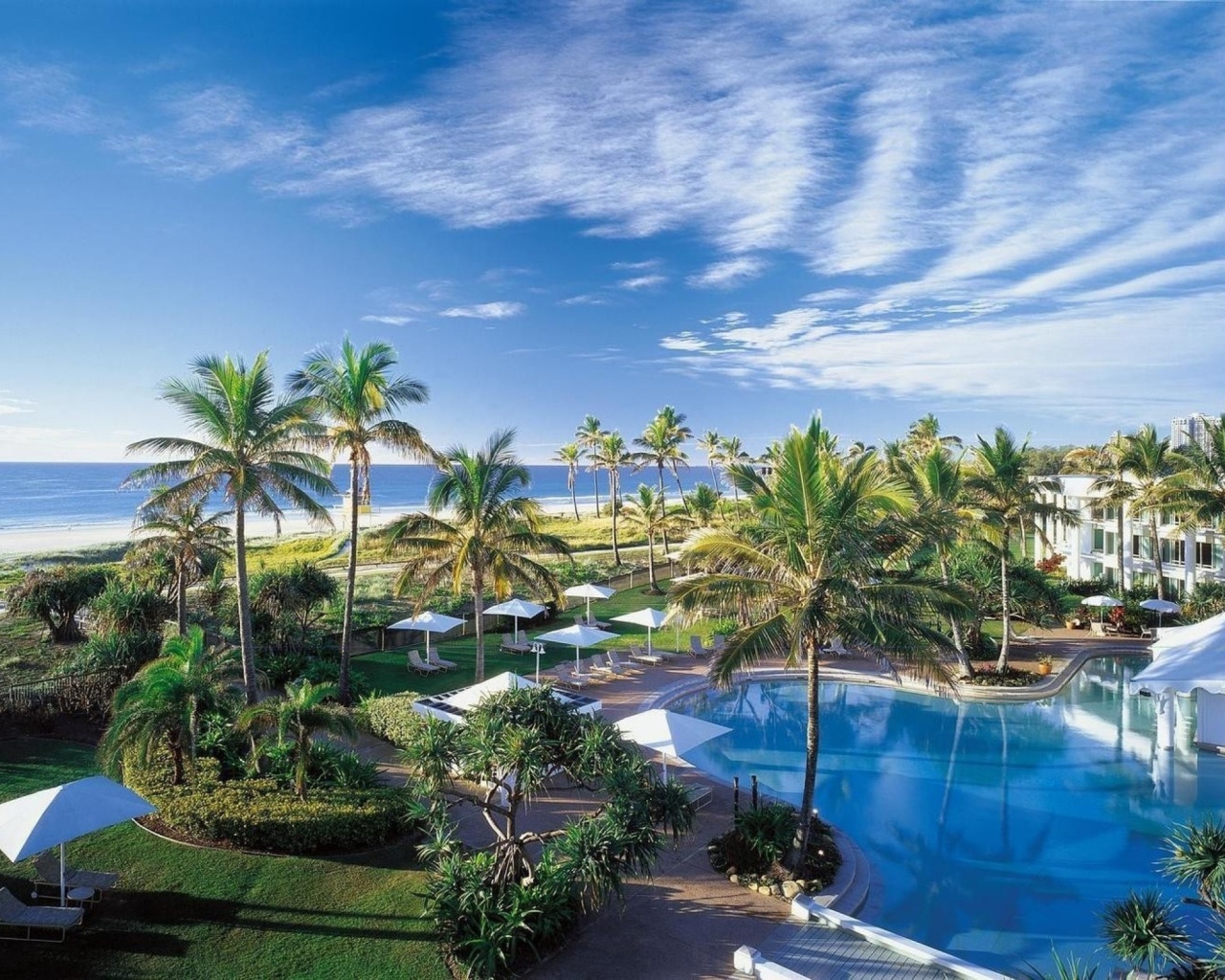 Отдых у моря под пальмами