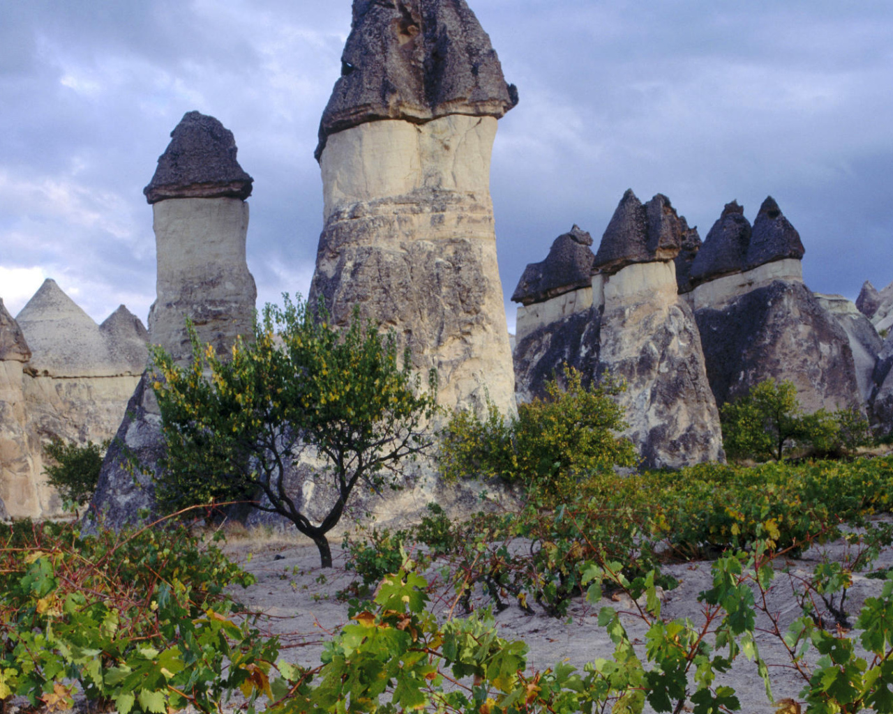 Волшебные дымоходы Турции с черными вершинами