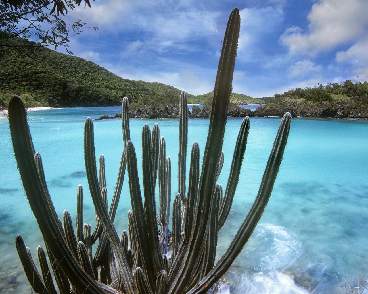 Национальный парк Вирджинии