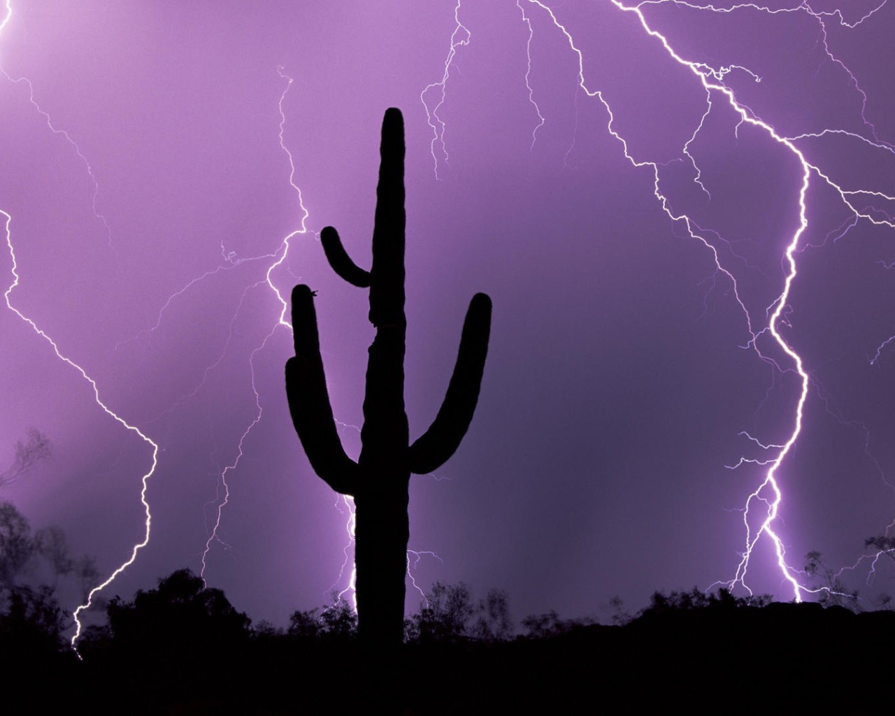 Гроза в Аризоне