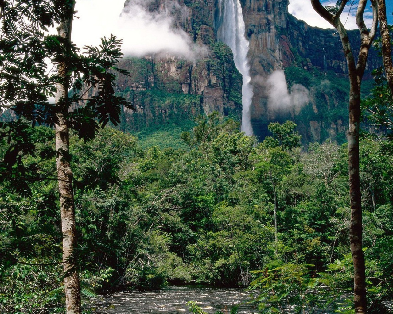 Национальный парк Венесуэлы