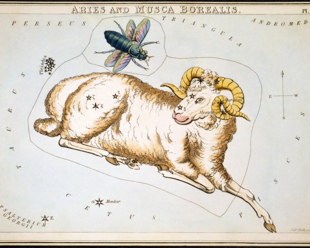 Овен на карте звёздного неба