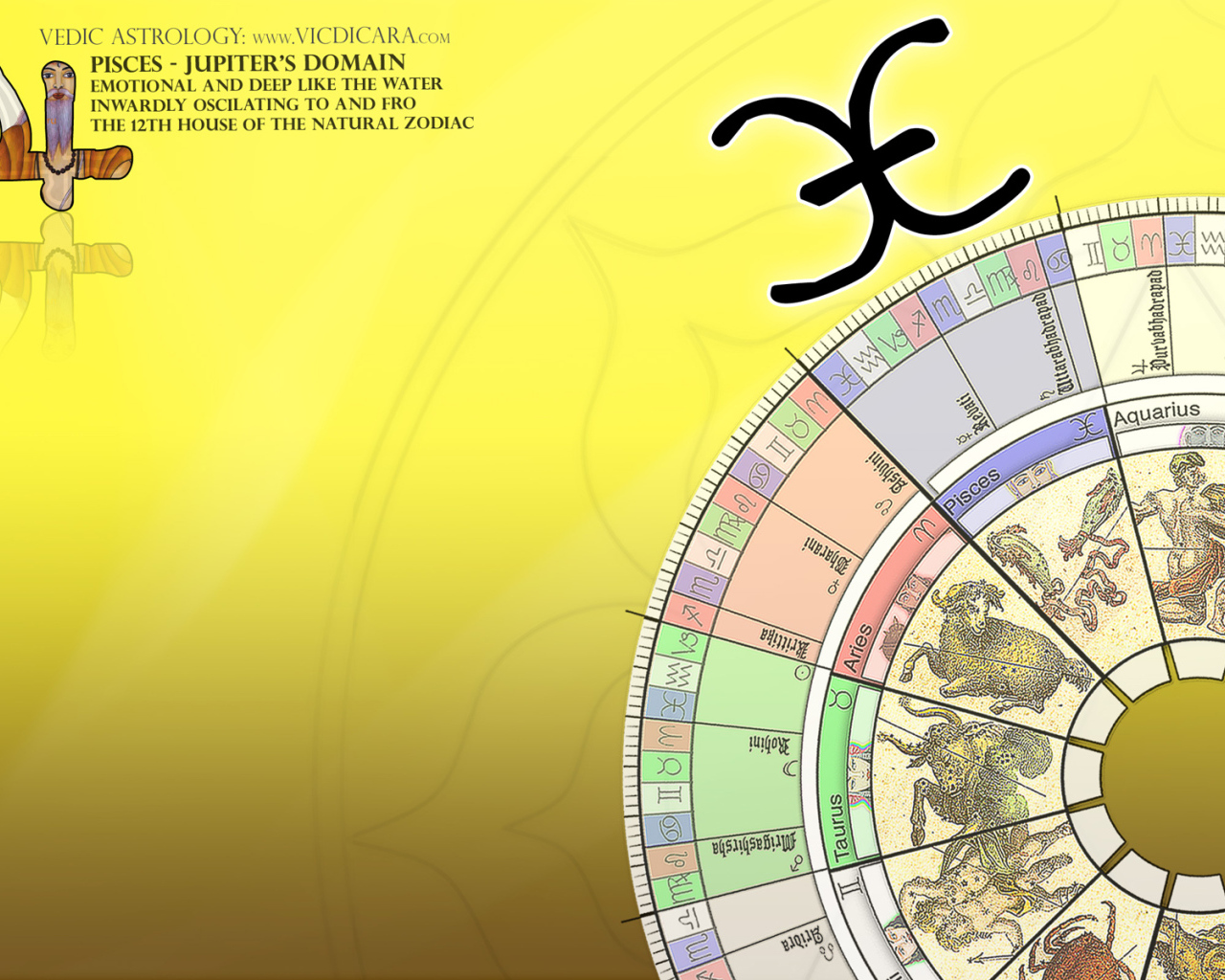 Знаки зодиака на жёлтом фоне