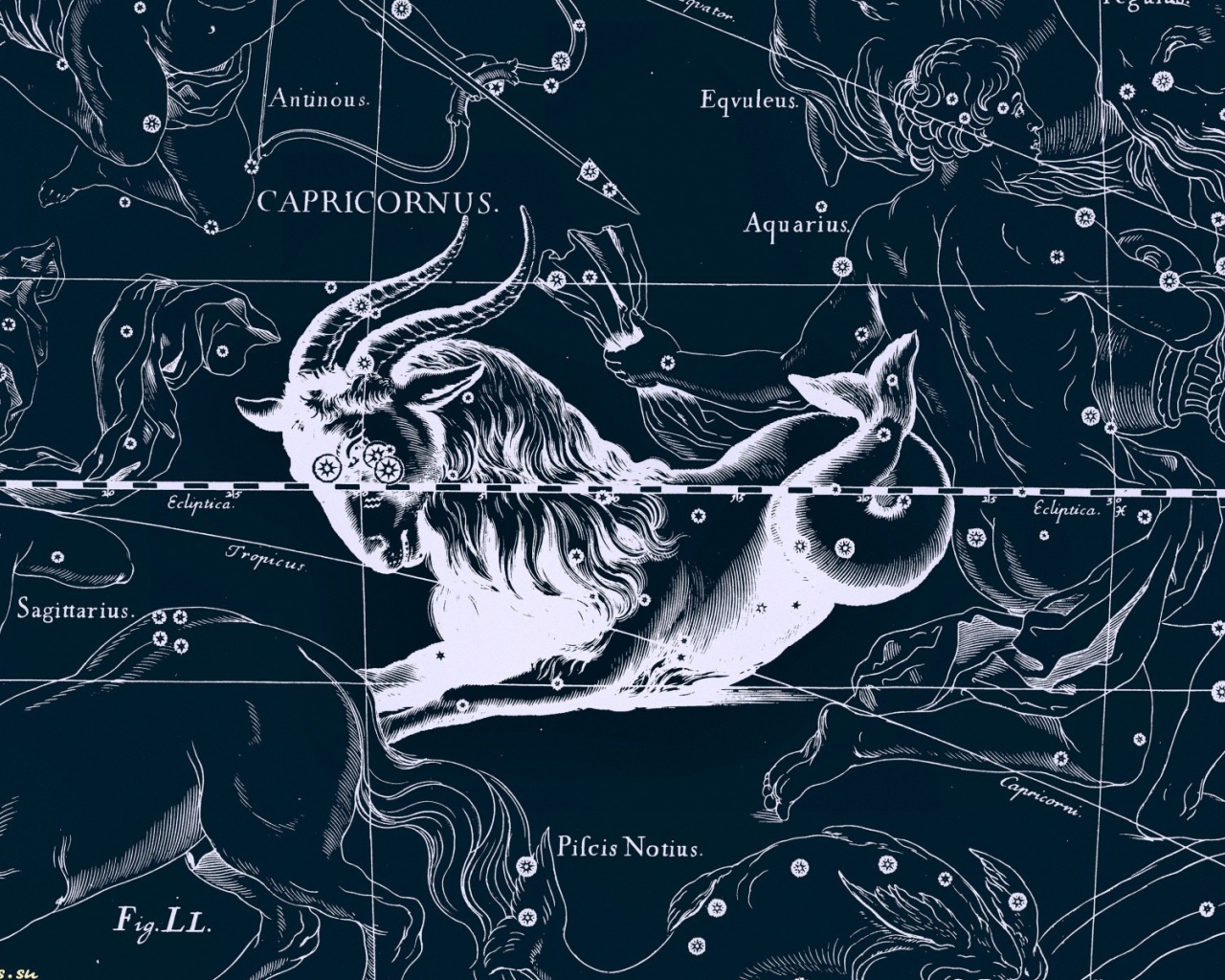 Карта звездного неба, козерог