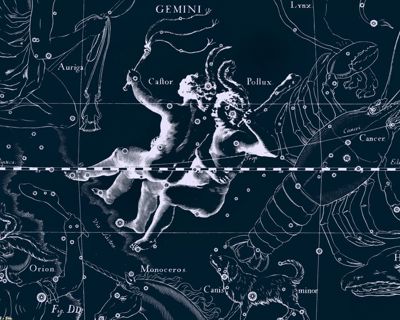 Карта звездного неба, близнецы