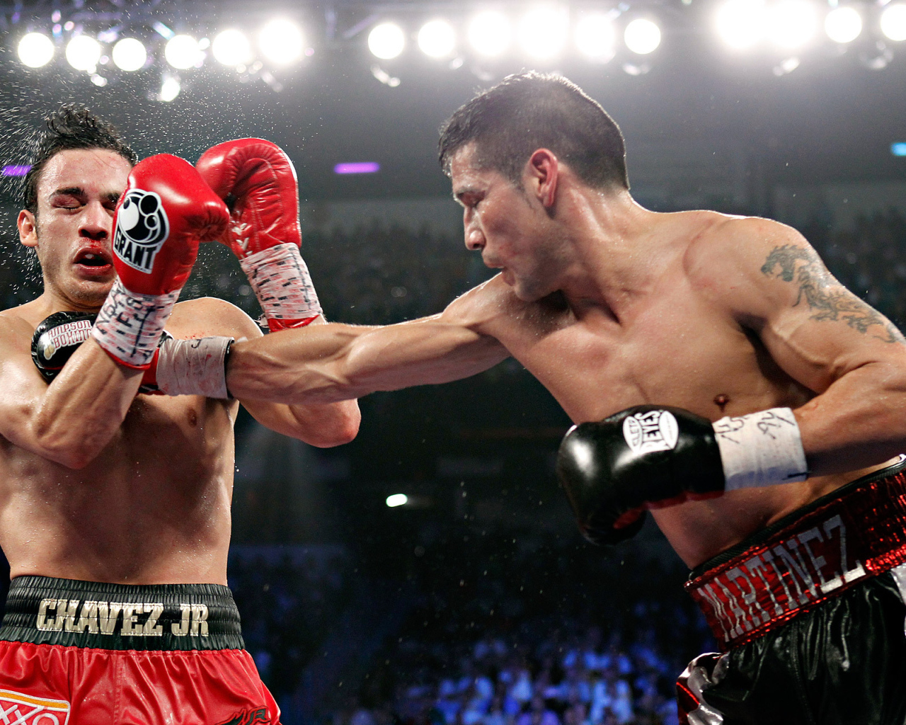 Боксер Хулио Сезар Чавес-Sr