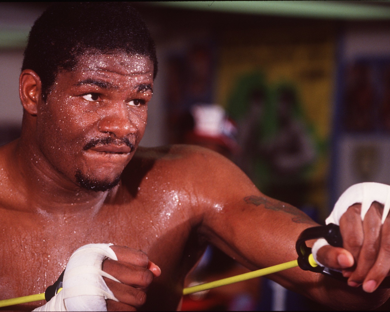 Боксер Риддик Боу