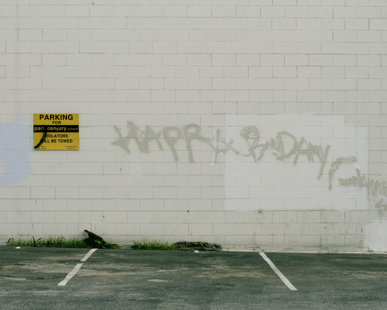 Граффити на белой стене, с днём рождения