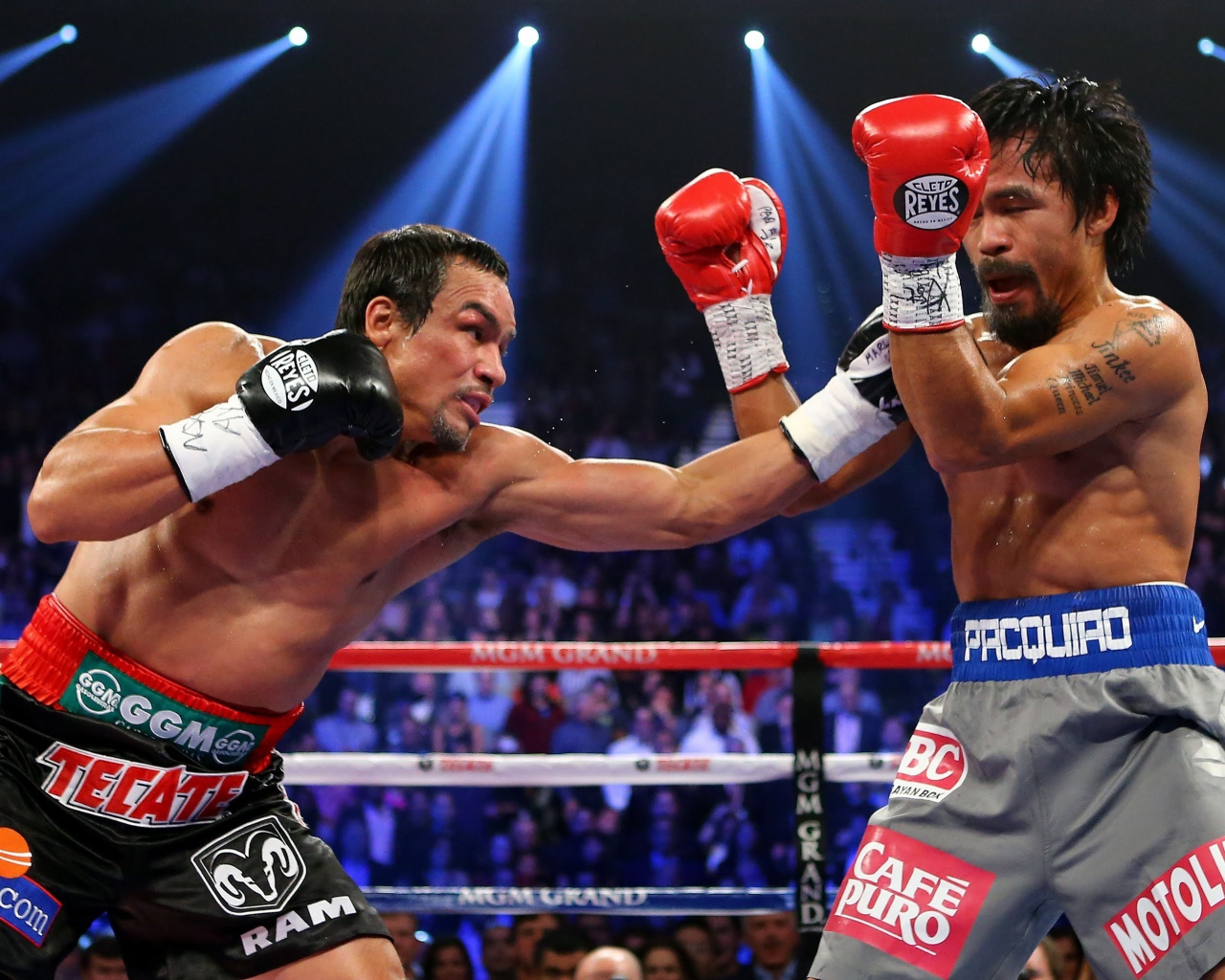 Хуан Мануэль Маркес против Тимоти Брэдли