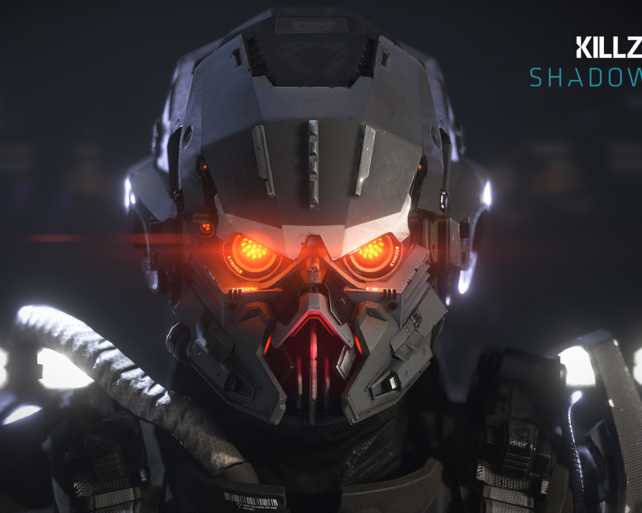 Killzone: Shadow Fall: сумасшедший взгляд