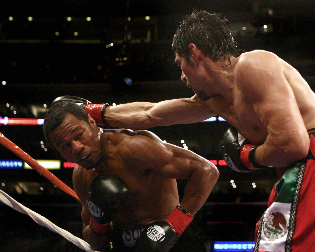 Шейн Мосли против Антонио Маргарито