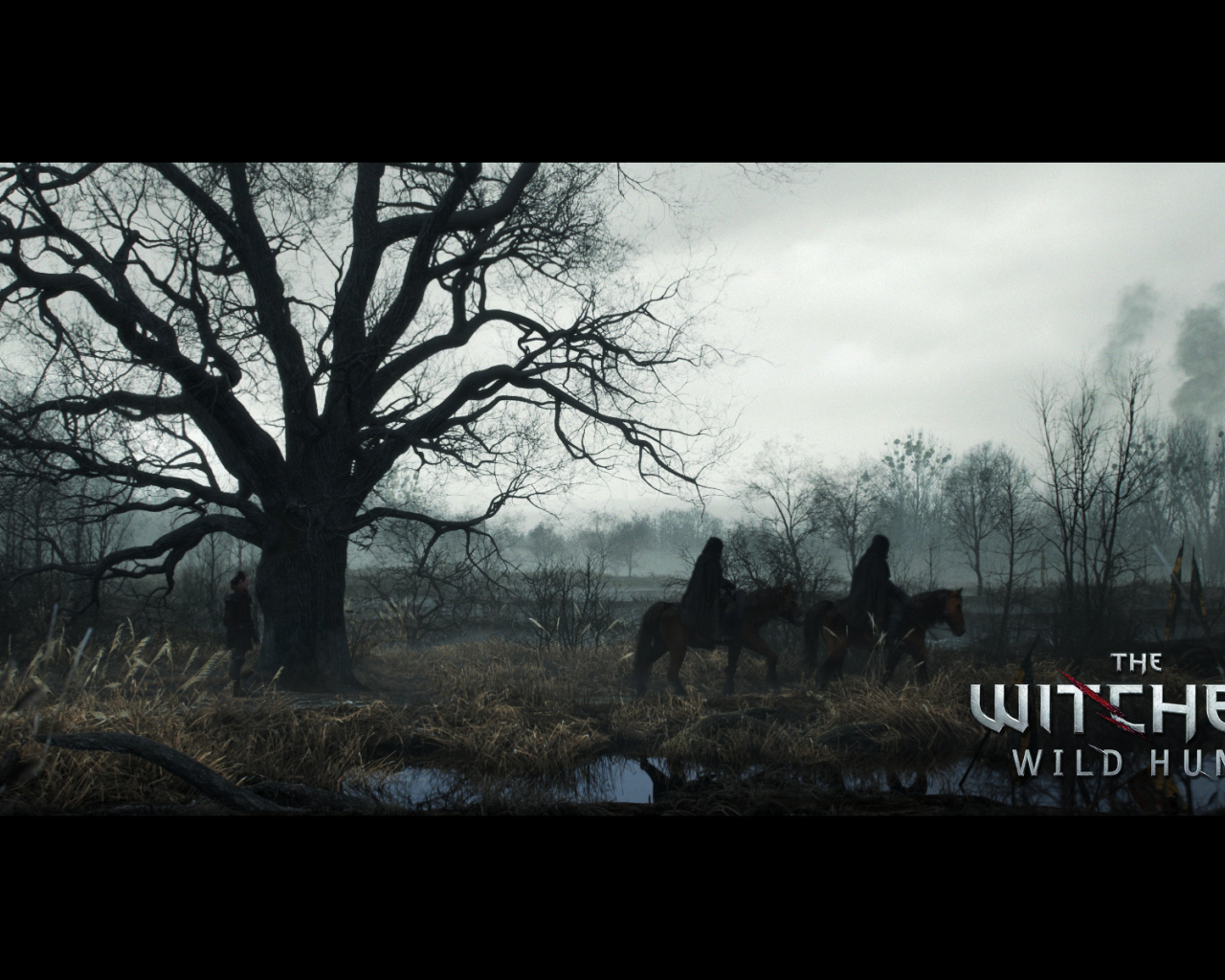 The Witcher 3: Wild Hunt: долгий путь домой