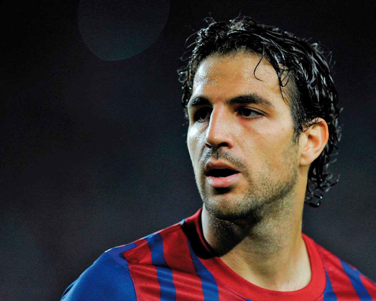 Лучший игрок Барселоны Франсеск Фабрегас лицо крупным планом