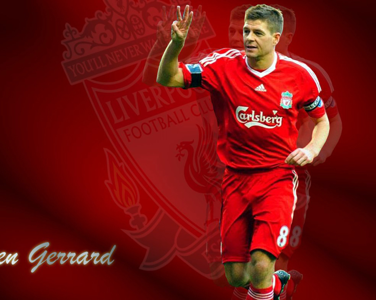 The halfback of Liverpool Steven