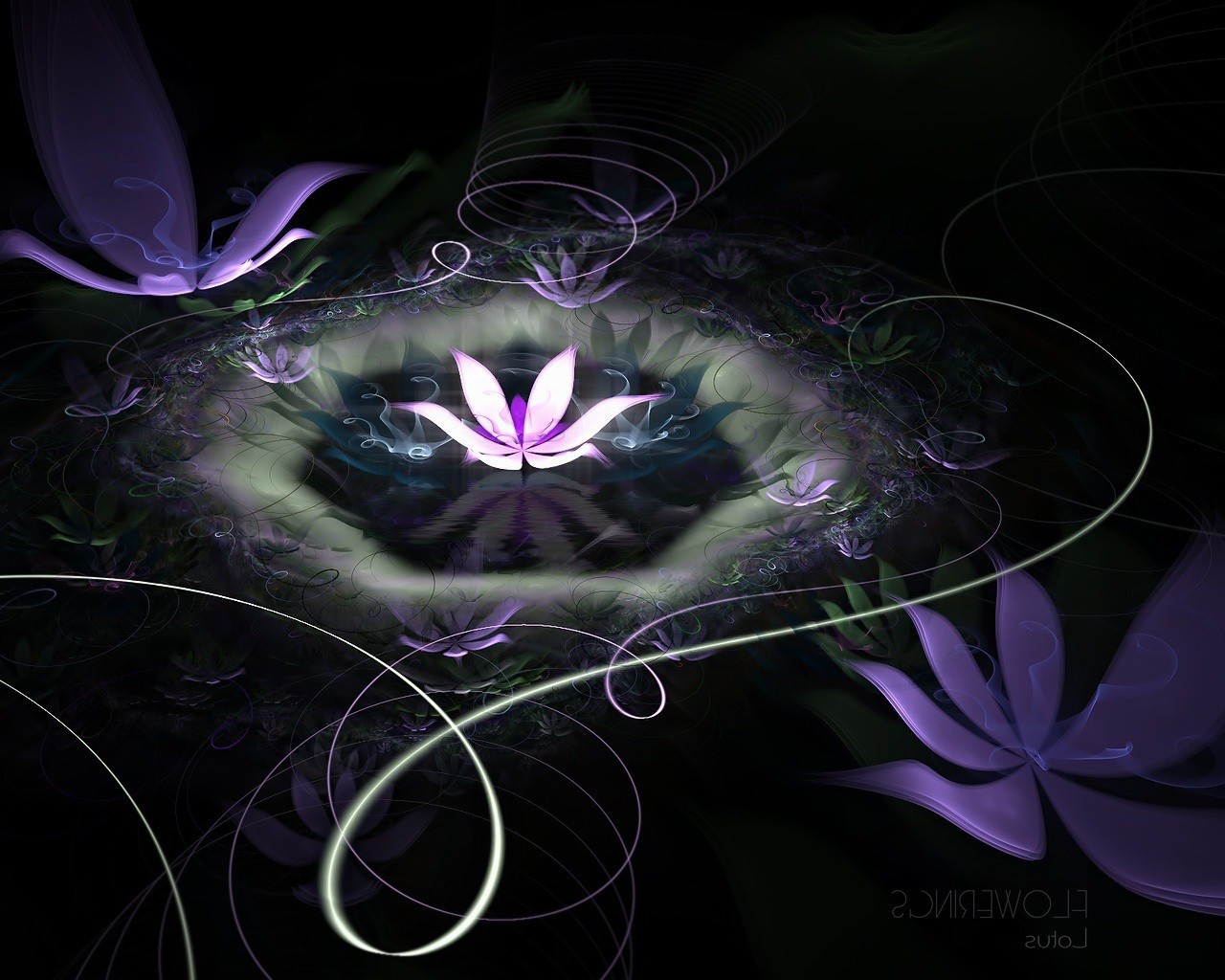 Абстрактные лилии