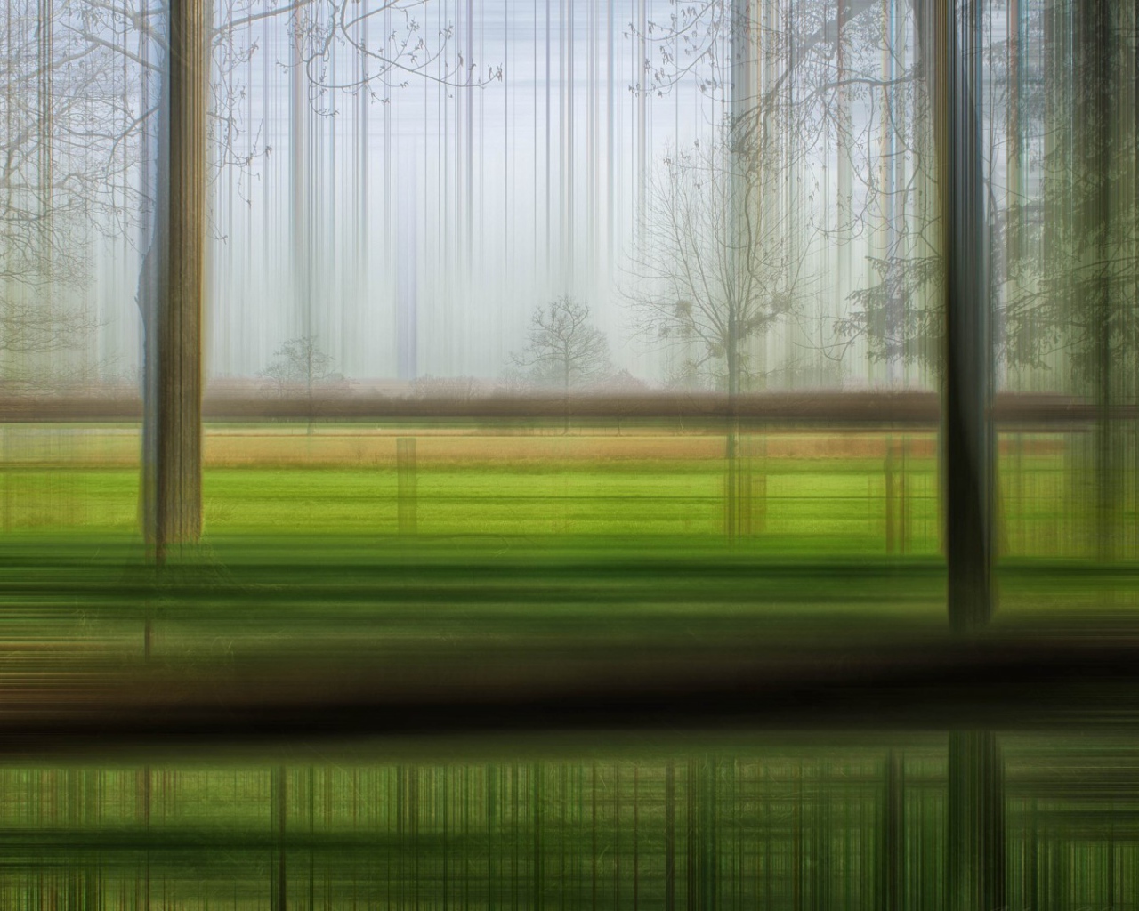 Размытый лес