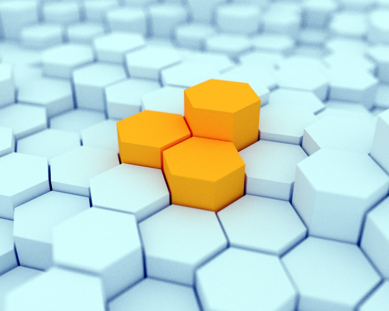 Пчелиные соты