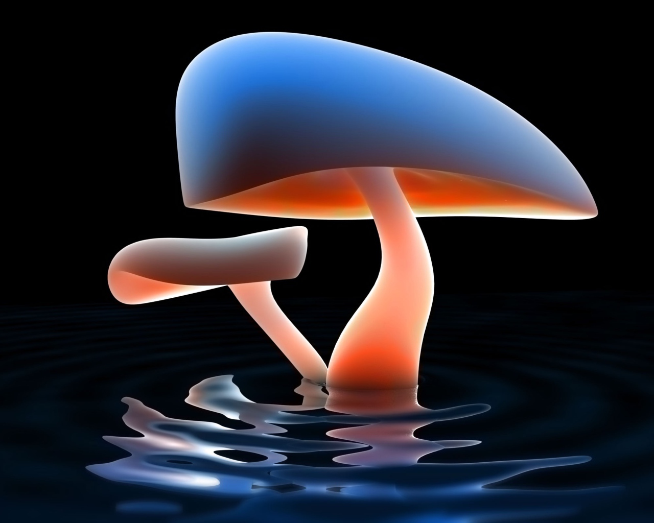 Озеро грибов