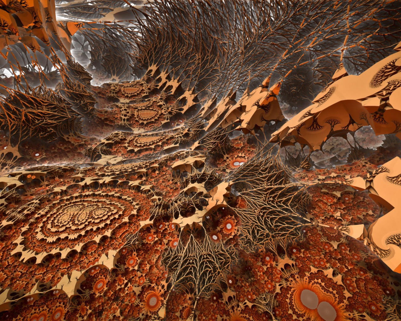 Загадочный мир корней