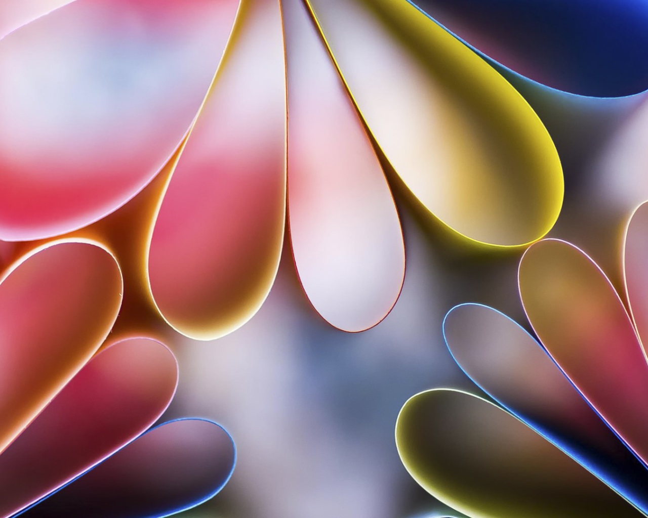 Лепестки цветов