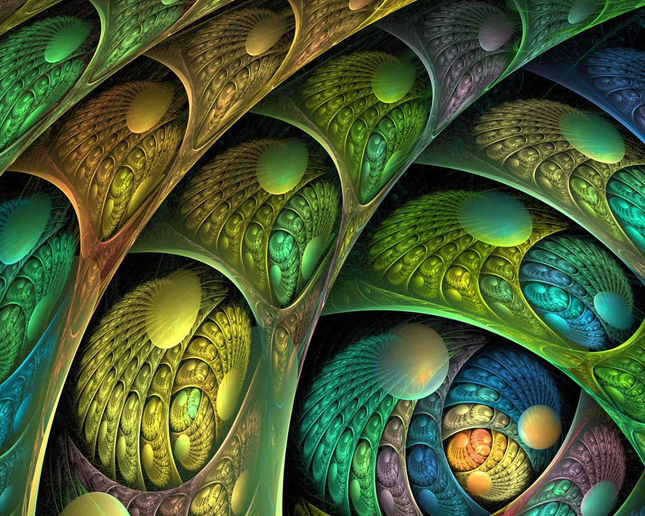 Сосуды вселенной