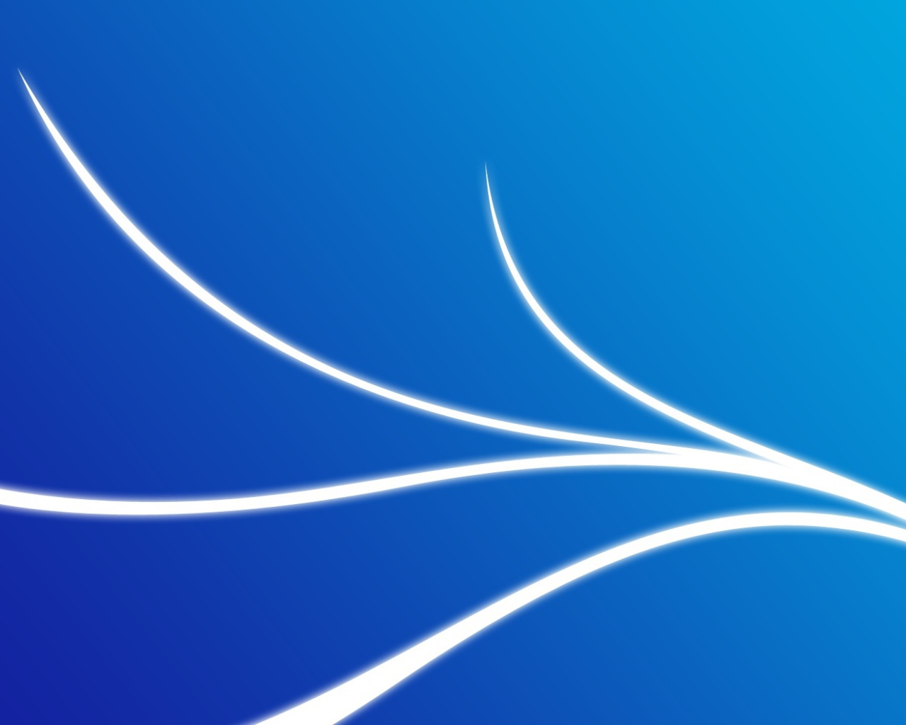 Мудрость света