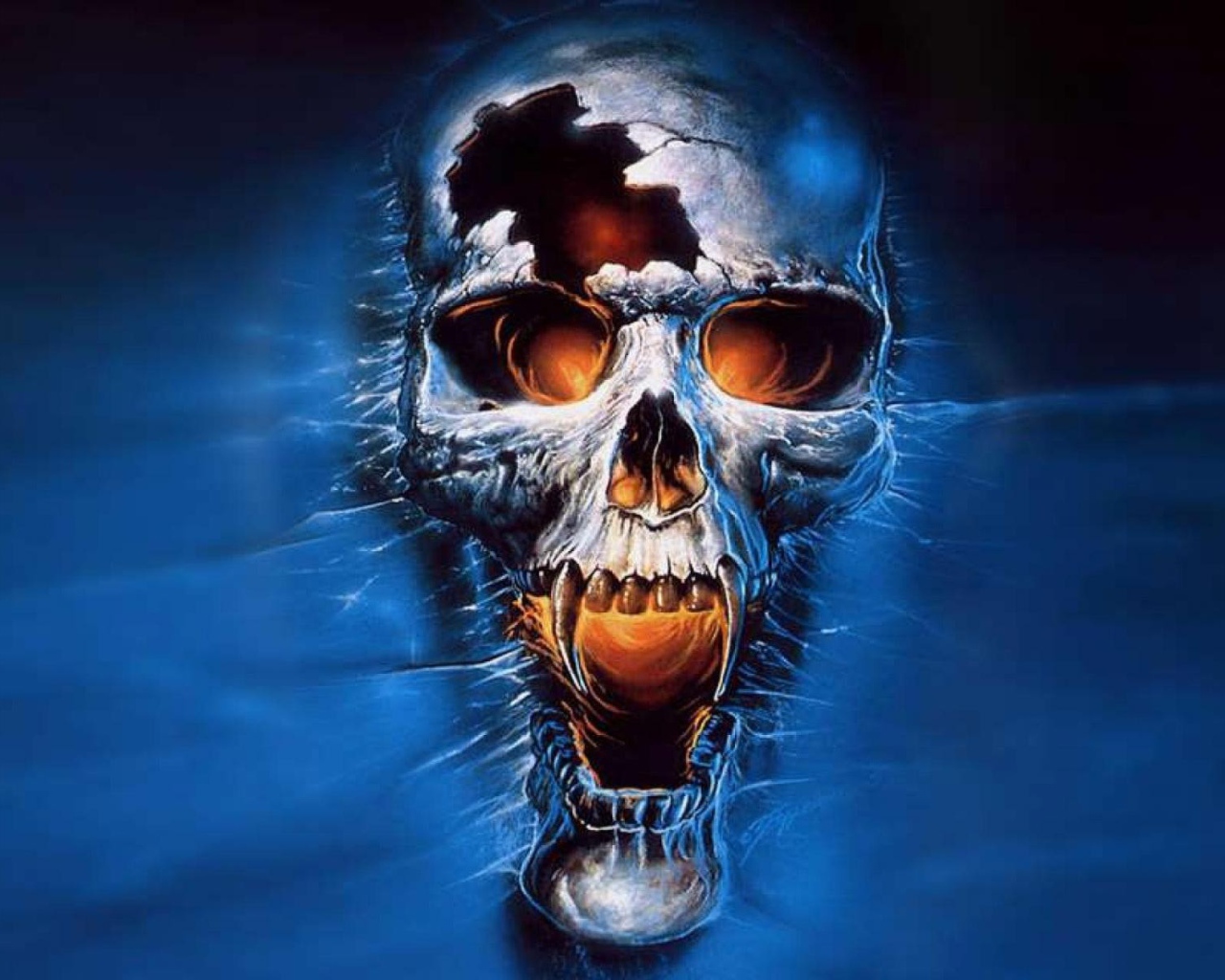 	   The skull on a blue background