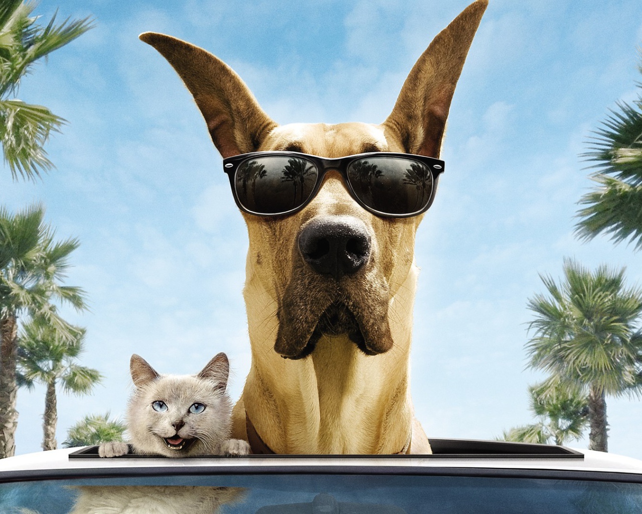 Животные герои фильма