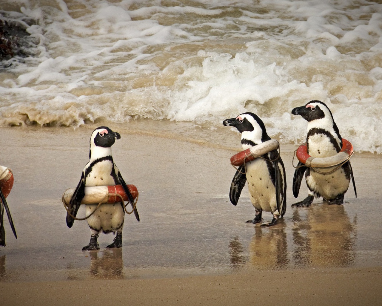 Cпасатели на льду