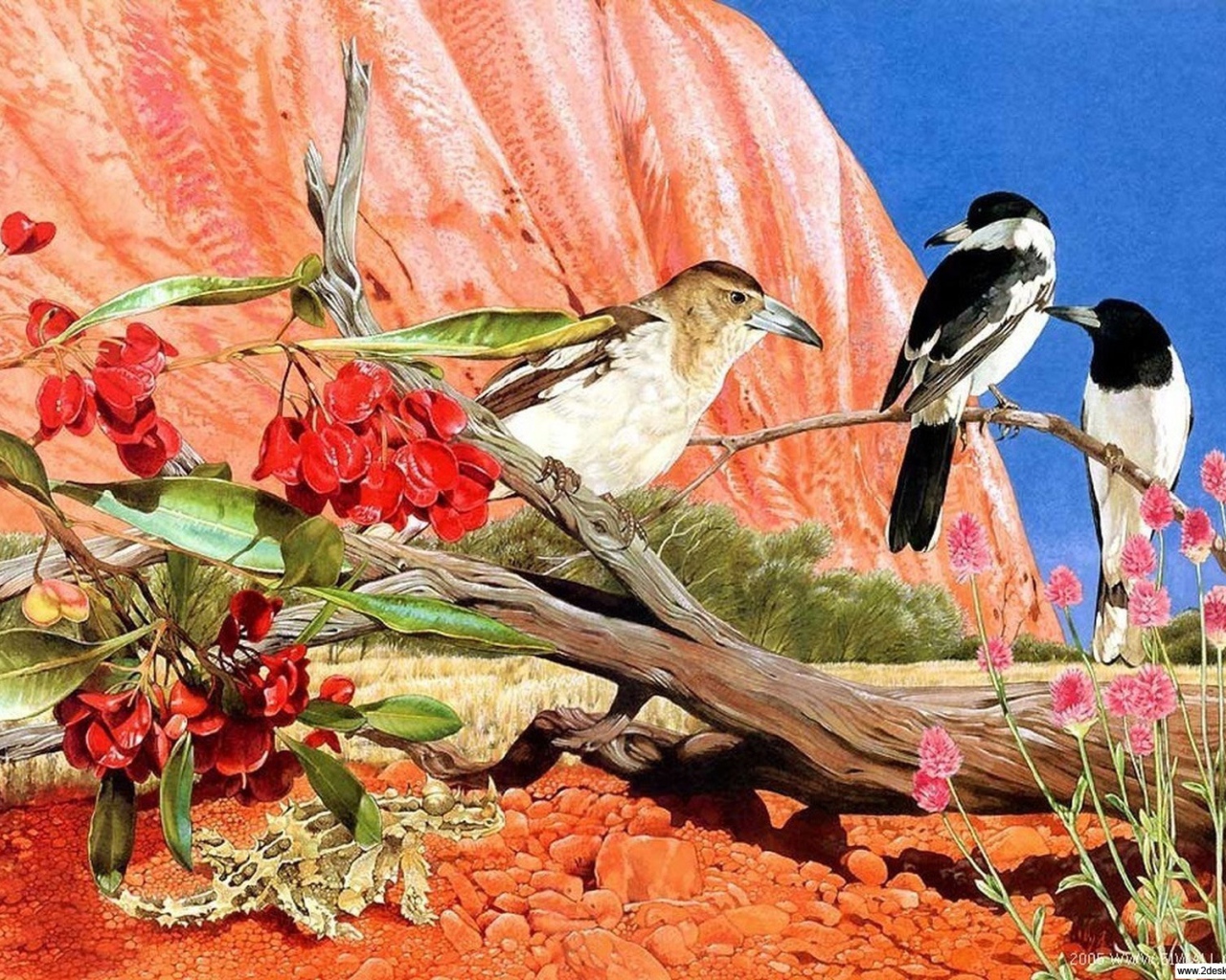 Общение птиц