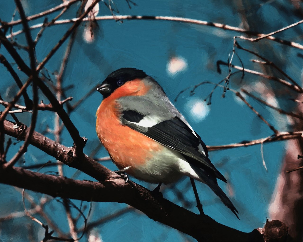 Снегирь на ветке