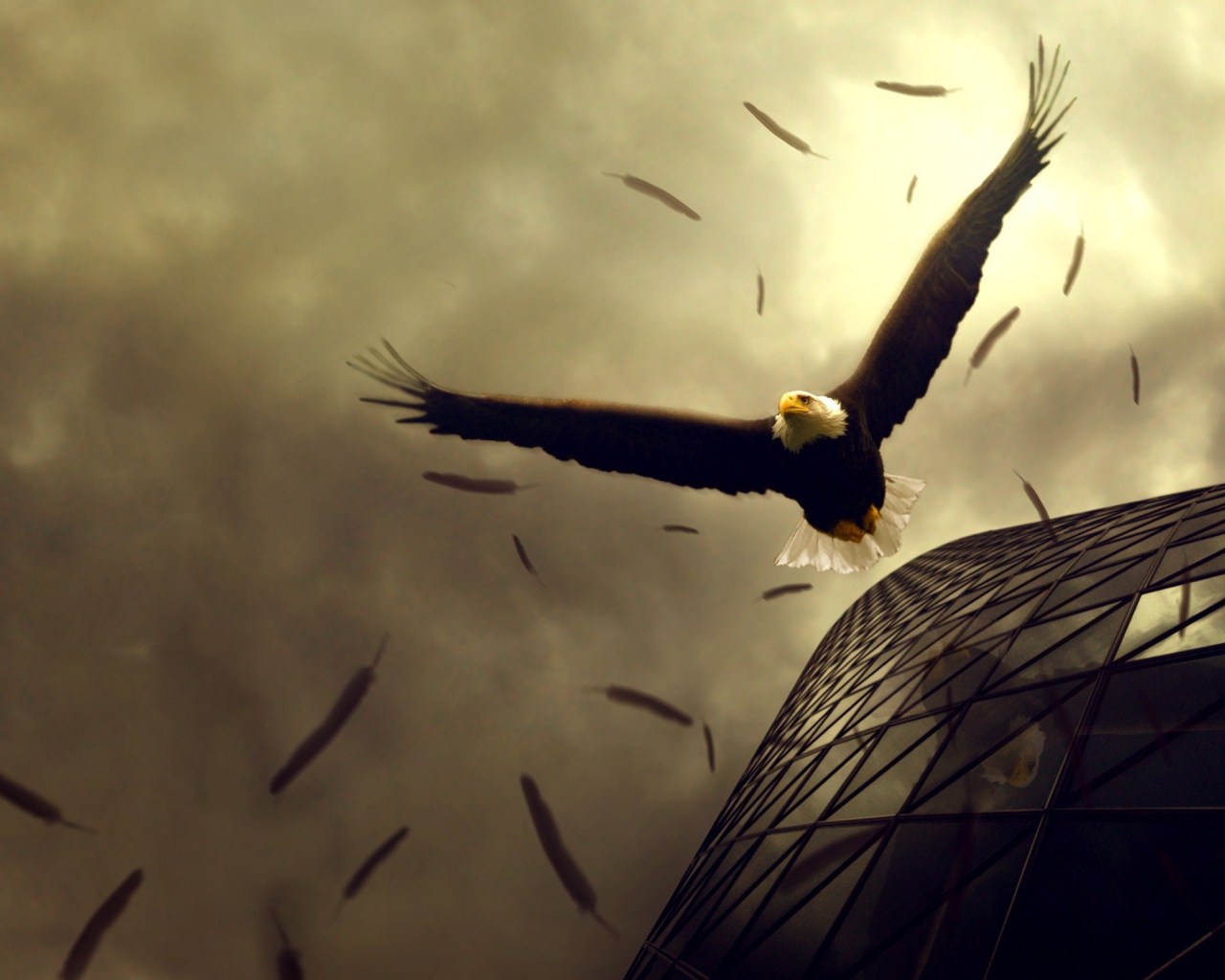 Полет орлов