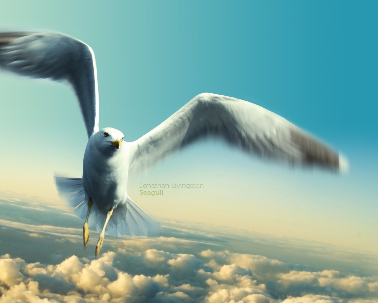 Чайка Джонатана Ливингстона